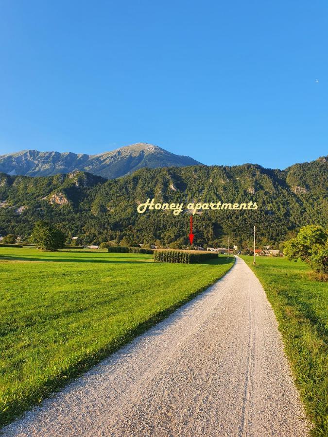 Honey Apartments Zirovnica Exteriér fotografie